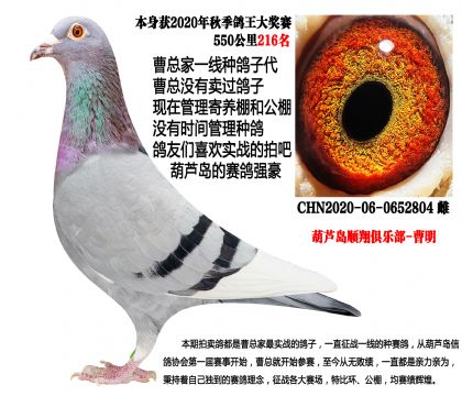 20���＾550����216��