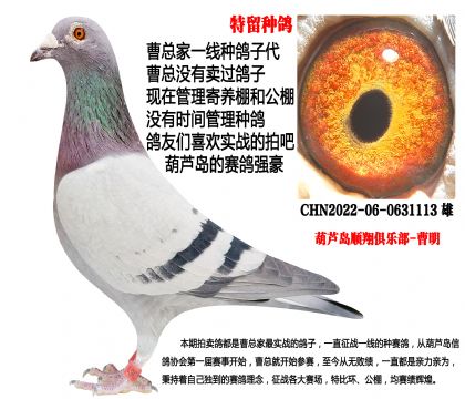 22���h(hu��n)�N������������