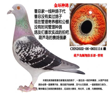 22���h(hu��n)�N���������N��