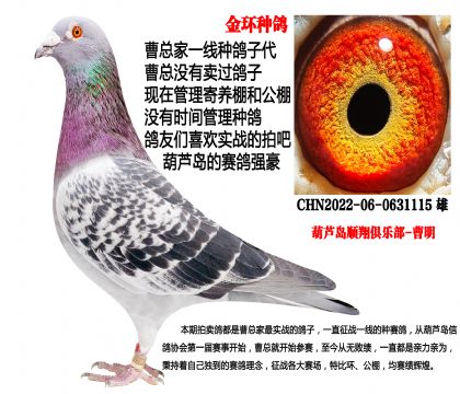 22���h(hu��n)�N���������N��