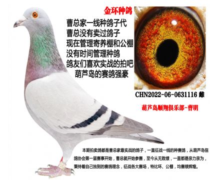 22���h(hu��n)�N���������䌦�Ӵ�