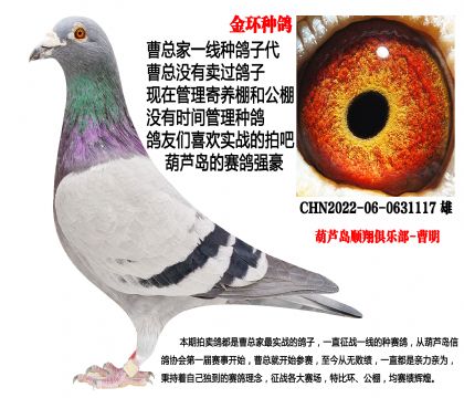 22���h(hu��n)�N���������䌦�Ӵ�