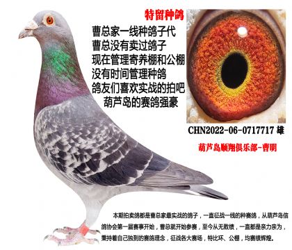 22�������N��������(zh��n)����