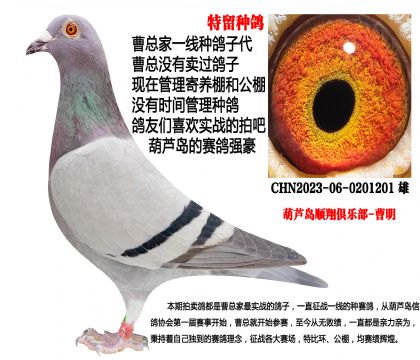 2023�������N����˽�h(hu��n)�N��