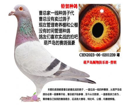 2023���S����