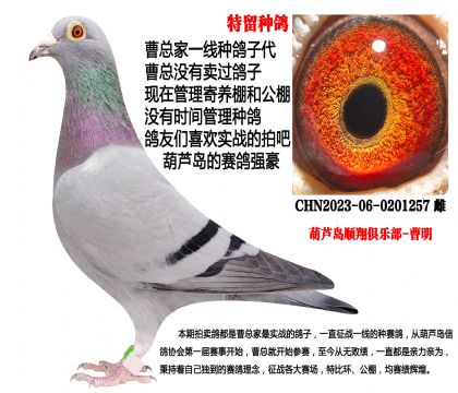 23�������N��������257