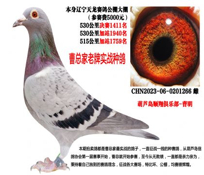 �|��������������ِ�M5000Ԫ���ɿ���