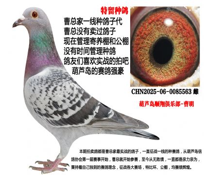 �����N����һ���N���Ӵ�