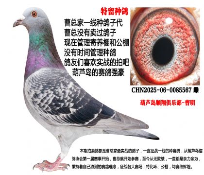 �����N��567�������䌦�Ӵ�