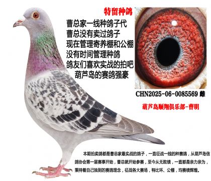 �����N��������(zh��n)����