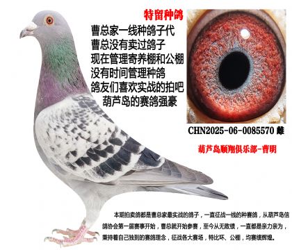 �����N��������(zh��n)����