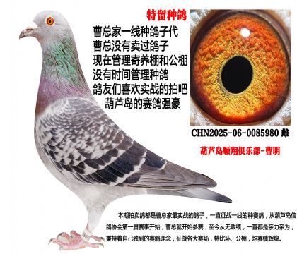 �����N���������䌦�Ӵ�