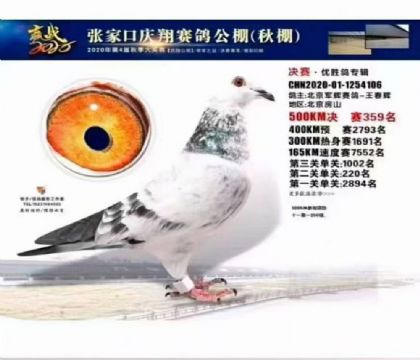 張家口慶翔賽鴿公棚500公里決賽359名 雌
