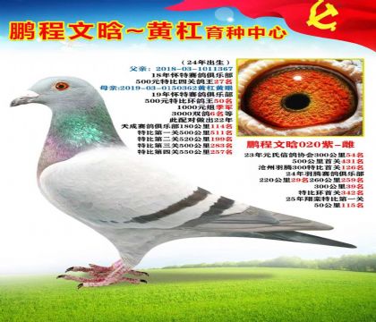 懷特鴿王27名X19年懷特鴿王50名