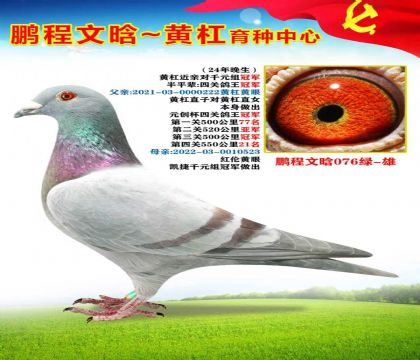 黃杠直子對直女X千元組冠軍女兒