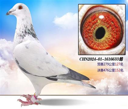 ����Ů��