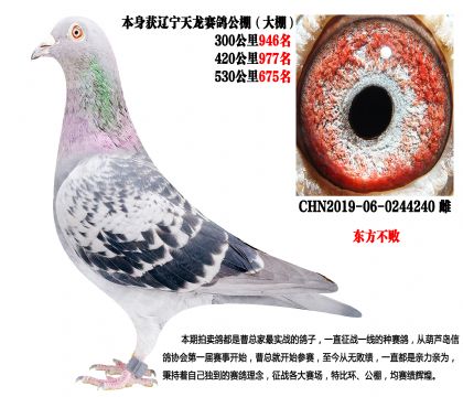 �|�����������������ِ�M(f��i)5ǧ���@��(ji��ng)��