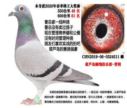 实战种雌511,本身550公里46名,600公里61名