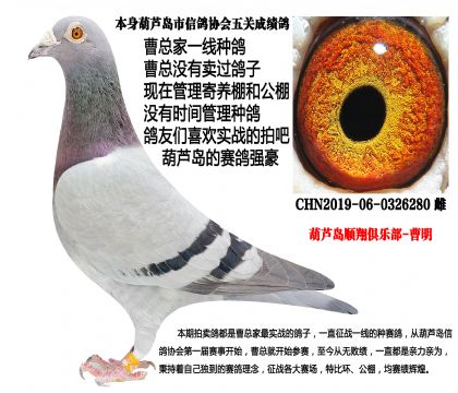 实战种雌280,本身葫芦岛市会5关成绩鸽