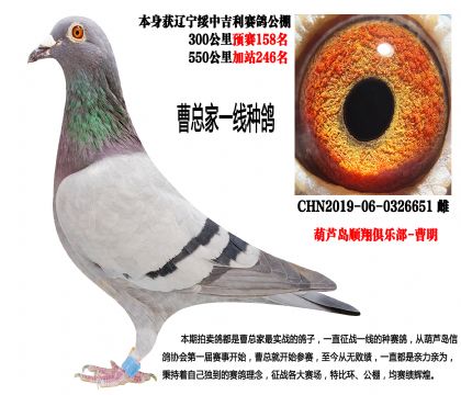 绥中吉利公棚预赛158名,加站246名