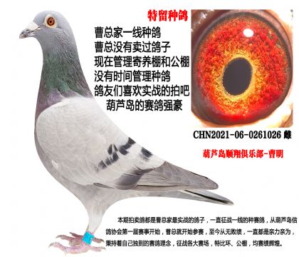 ʵս�ִ�026,21�������ָ�