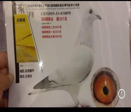 �@��?w��)��? /></a> <a  title=