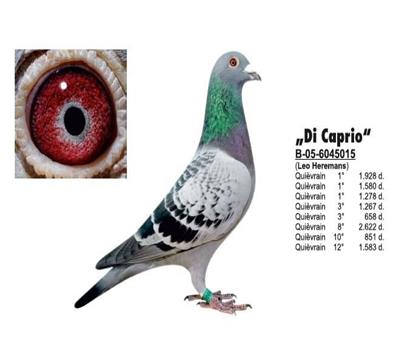 �Ͽ������