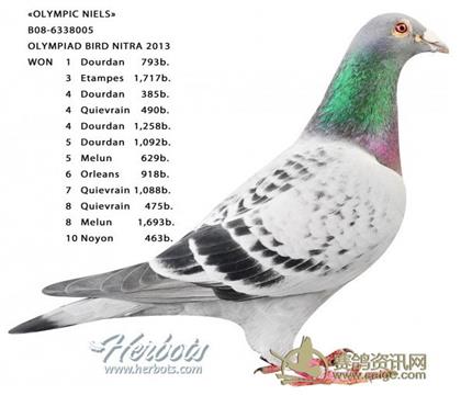 �游������ƥ�����˹