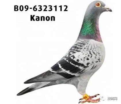 �游.��ũ��