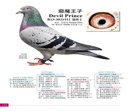 ���游.��ħ����