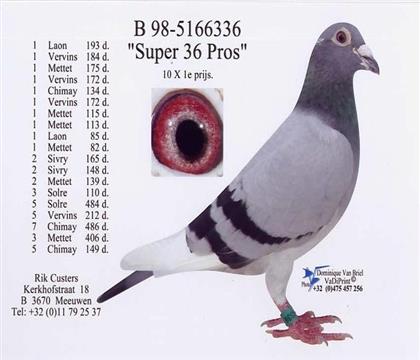 �游.����36