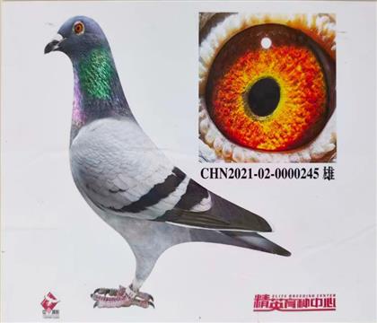 �W(li��n)ԭʼ��Ƭ