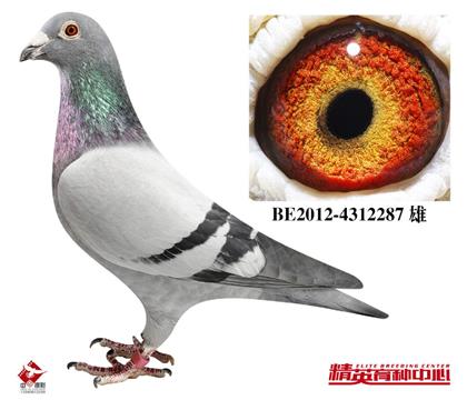 ��.�������F