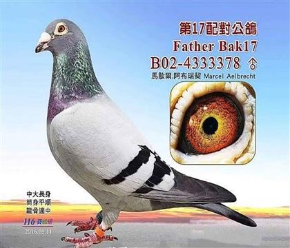 �游.17̖�䌦��