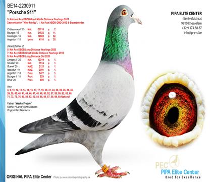 ��.���r��911ȫ��