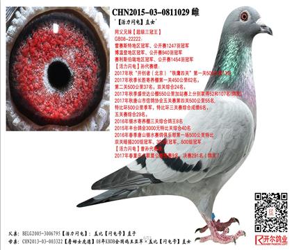 ĸ.�����W�ֱŮ