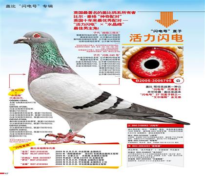 �桢���游.�����W�