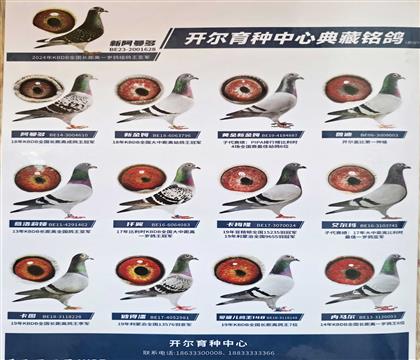 Ѫ�y(t��ng)������