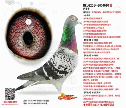 �游.������