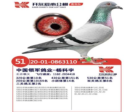 ĸ.�_��������܊