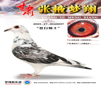 ����145ֱ�O���������nֱ�OŮ