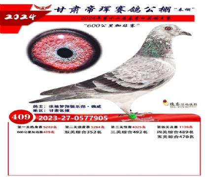 ����145ֱ�O�����鹫��68��