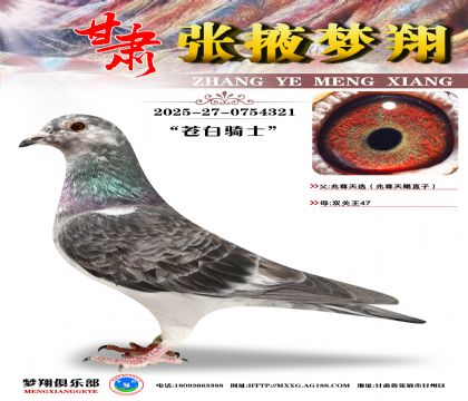 �������nֱ�ӡ��p�P(gu��n)����47