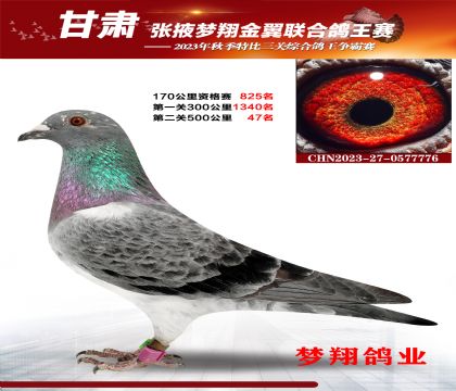 ���ٹ�܊ȫƽ݅500����47�����n���T��