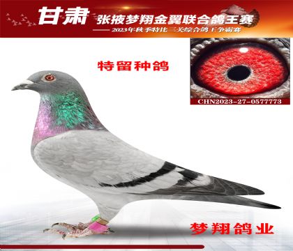 ���ٹھ�ͬ�ѣ��԰���ʿ��