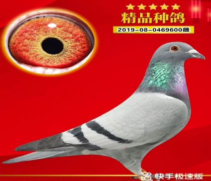 ���ٹ�܊ͬ����ƽ݅