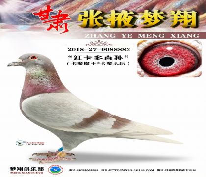 �t����ֱŮ���t����ֱ�O