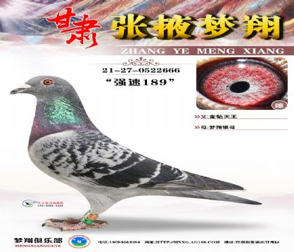 �������@ʯ��ֱ�ӡ������ĸ