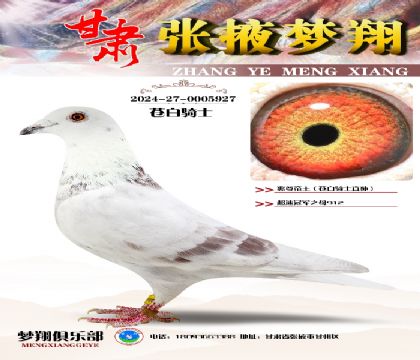 �԰���ʿֱ����԰׳��ٹھ�֮ĸ