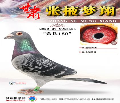 �������@ʯ��ֱ�ӡ��@ʯ��ֱŮ